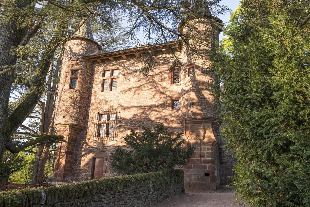 Chateau De Canac Bed & Breakfast Rodez Exterior photo